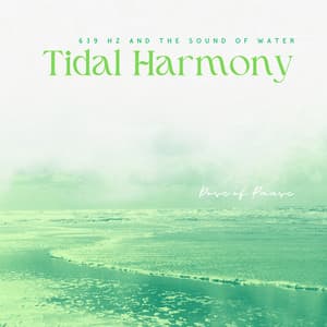 Tidal Harmony: 639 Hz and the Sound of Water - Dose of Pause