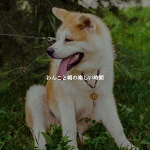 わんこと朝の楽しい時間 - Abendessen Jazz Klassiker