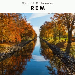 4 REM - Sea of Calmness