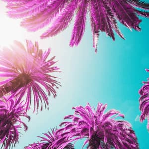 Chill-hop - Bgm for Unwinding Nights - Lo-fi Pop Sounds