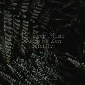 #50 Sleep Music Sounds for Zen Serenity - Reiki Music