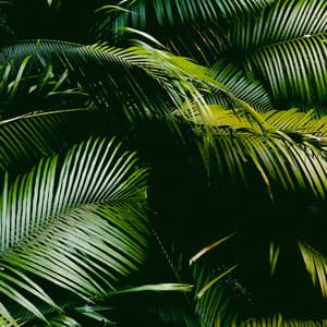 10 AM Woodlands: Journey Through The Wild - Baltic Nature Sounds