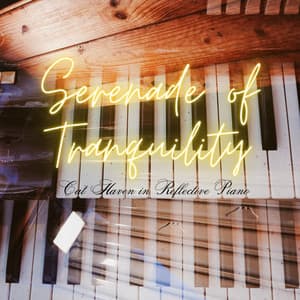 Serenade of Tranquility: Cat Haven in Reflective Piano - Piano Jazz Paris