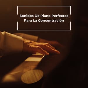 Sonidos De Piano Perfectos Para La Concentración - Maestros de la música de piano relajante