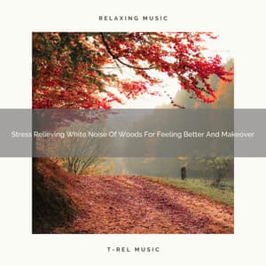 2021 New: Stress Relieving White Noise Of Woods For Feeling Better And Makeover - Pure Deep Sleep White Noise