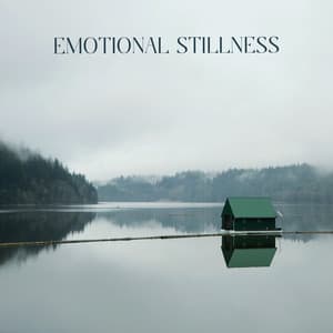 Emotional Stillness: Find Peace and Solace in Times of Chaos - Sound Therapy Masters