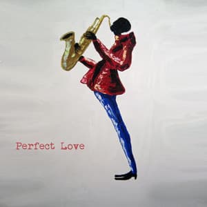 Perfect Love - Afro Viccini