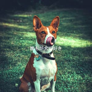 誰もが犬が好き - Classic French Jazz