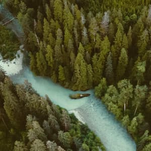 1 Coastal Night: Angelic Rivers - Baltic Nature Sounds