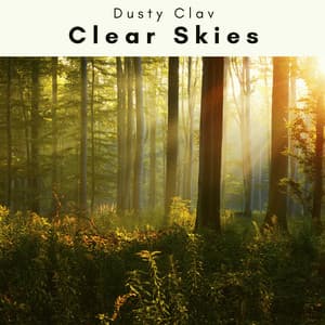 2 0 2 3 Clear Skies - Dusty Clav
