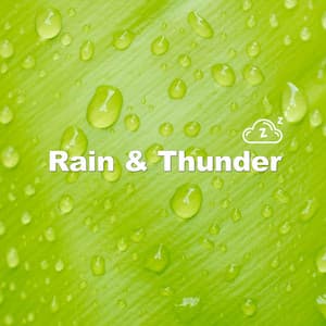 Puddle Reflections - Rain & Thunder