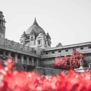 Extraordinary Ambiance for Calculated Hours - Manhattan Jazz Band