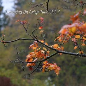 Dreaming In Crisp Rain Vol. 1 - Sleepy Cats