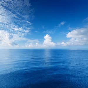 Orchestra Of Focus: Orchestral Music For Concentration - Bertie Lambert