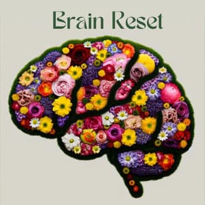Brain Reset: Meditative Relaxation for Knowledge Assimilation - Brain Stimulation Consort