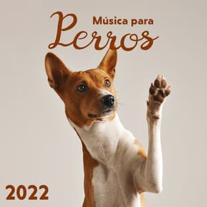 Música para Perros 2022 - Música Relajante para Perros
