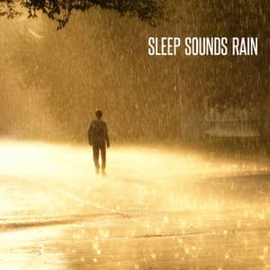Sleep Sounds Rain - Sleep Sounds Rain