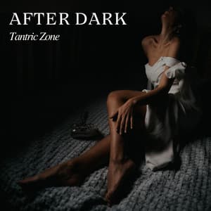 After Dark: Sensual Grooves - Tantric Zone