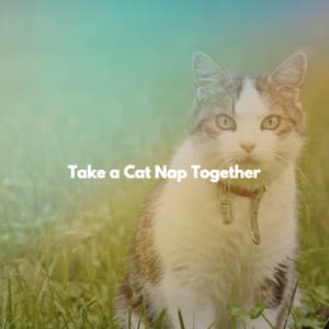 Take a Cat Nap Together - Sunday Morning Music Classics