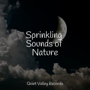Sprinkling Sounds of Nature - Ambient Rain