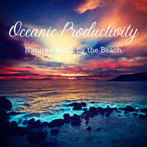 Oceanic Productivity: Nature's Work by the Beach - Sea of Waves