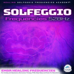Solfeggio Frequencies 528Hz: EMDR Healing Frequencies For Anxiety and Depression, Brainwaves Therapy, PTSD, Deep Sleep and Music For Relaxation - Healing Solfeggio Frequencies Academy