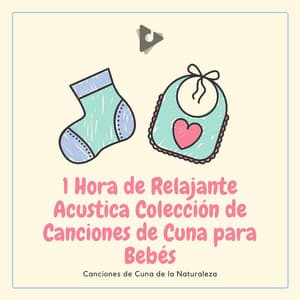 1 Hora de Relajante Acustica Colección de Canciones de Cuna para Bebés - Canciones de Cuna de la Naturaleza