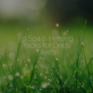 50 Spa & Healing Tracks for Deep Sleep - Nursery Rhymes Club