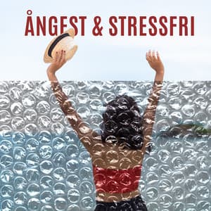 Ångest & stressfri - Hypnos, Tyst ditt sinne - Andlig Musiksamling