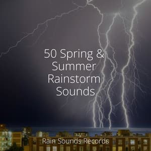 50 Spring & Summer Rainstorm Sounds - Musica Para Estudiar Academy