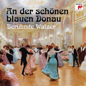 An der schönen blauen Donau - Robert Stolz