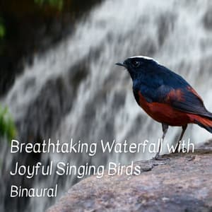 Binaural: Breathtaking Waterfall with Joyful Singing Birds - Binaural Boy