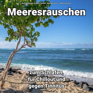 Meeresrauschen zum Schlafen, für Chillout und gegen Tinnitus - Meeresrauschen in bester Qualität