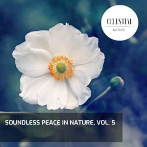 Soundless Peace in Nature, Vol. 5 - Nature Radiance