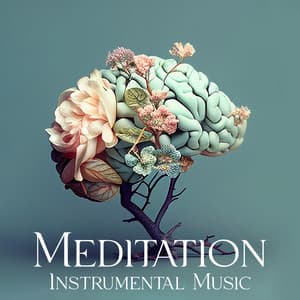 Meditation Instrumental Music: Relaxation Songs for Mindfulness & Brain Stimulation - Binaural Sleep Brainwave Beats