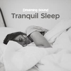 Tranquil Sleep - Dreaming Sound