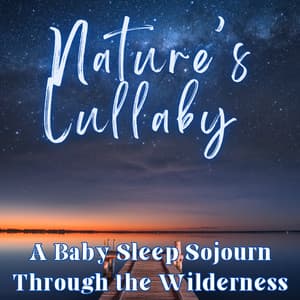 Nature’s Lullaby – A Baby Sleep Sojourn Through the Wilderness - Deep Sleep Meditation Radio
