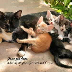 Jazz for Cats: Relaxing Rhythms for Cats and Kittens - Christmas Jazz Music