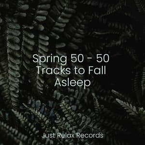 Spring 50 - 50 Tracks to Fall Asleep - Ambient
