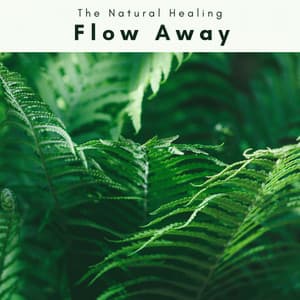 1 Flow Away - The Natural Healing