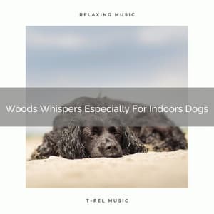 Woods Whispers Especially For Indoors Dogs - Dog Relax