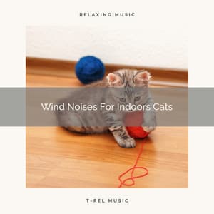 Wind Noises For Indoors Cats - Pets Total Relax