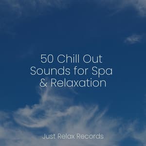 50 Chill Out Sounds for Spa & Relaxation - Mantra para Meditar