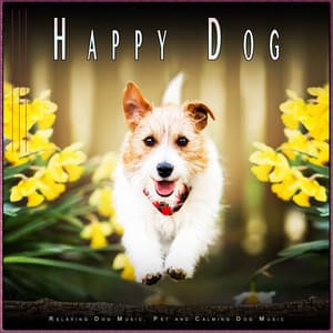 Happy Dog: Relaxing Dog Music, Pet and Calming Dog Music - Dog Music Experience