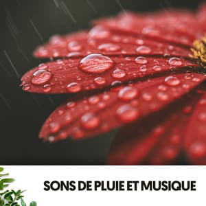 Sons de Pluie et Musique: Mélodies de la Pluie - Relajacion
