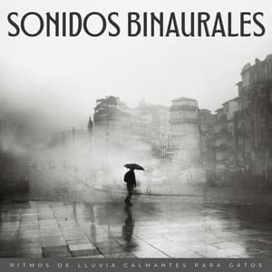 Sonidos Binaurales: Ritmos De Lluvia Calmantes Para Gatos - Frecuencias Binaurales
