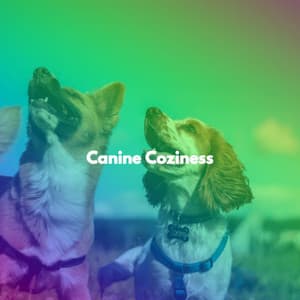 Canine Coziness - Entspannender Jazz