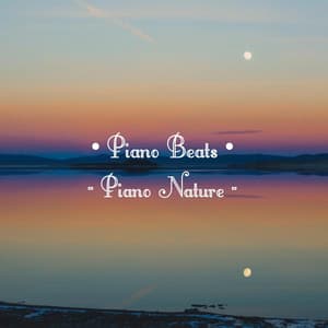 Piano Nature - Jonas Schneider