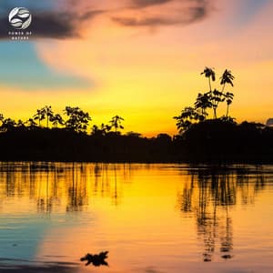 Amazonian Aura - Mother Nature Ambience