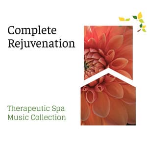 Complete Rejuvenation - Therapeutic Spa Music Collection - Spa Music Relaxation